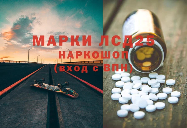 ПСИЛОЦИБИНОВЫЕ ГРИБЫ Алексеевка