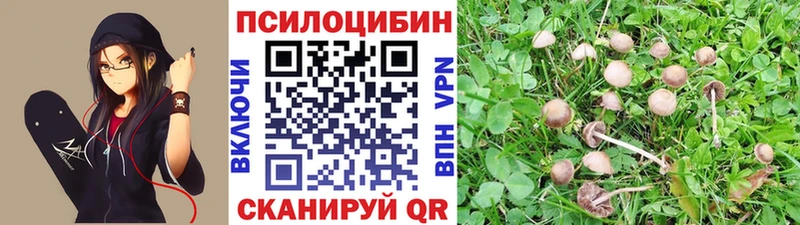 магазин    гидра вход  Псилоцибиновые грибы Psilocybine cubensis  Еманжелинск 