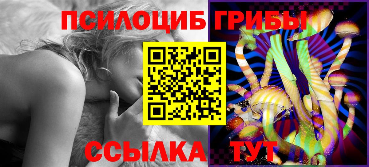 Псилоцибиновые грибы мицелий  Псилоцибиновые грибы Psilocybine cubensis  Еманжелинск  Вход с VPN 